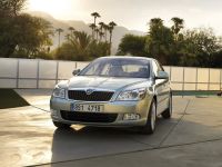 Стоимость автомобилей Skoda может увеличиться